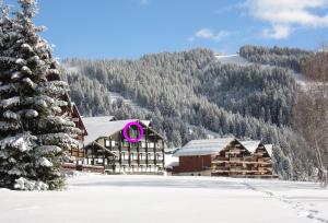 雷塞兹Appt 4/5 pers. Les Saisies front de neige的雪上小屋,设有粉红色的窗户