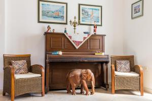 格鲁达Stone House DiMaTo的一只大棕色的狗站在钢琴前面