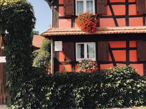 BolsenheimLes Authentics - Le Domaine d'Autrefois & Spa的红色房子,窗户上有花盒