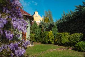 埃格尔森特伊什特万酒店的一座花园,在房子前面种有紫色的花朵