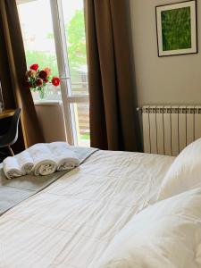 莫申Водограй, курортна вілла的一张带毛巾的床和窗户
