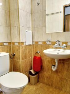 内塞伯尔Guest House Maria的一间带卫生间和水槽的浴室