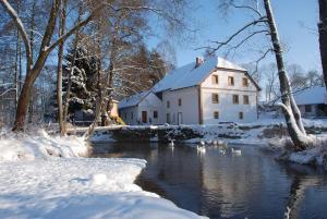 Kamberk拜奥法玛多勒杰斯缪恩酒店的河里鸭子下雪的房子