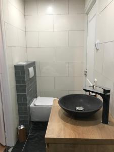 阿珀尔斯哈B&B Trefkerk的一间带黑色水槽和卫生间的浴室