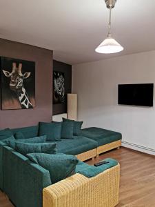 布拉索夫Drumul Poienii Apartment的客厅配有绿色沙发和电视