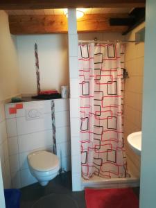 EberhardzellSonnige Zimmer的一间带卫生间和淋浴帘的浴室