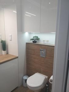 格但斯克Apartament Nowa Letnica的一间带卫生间的浴室和台面上的植物