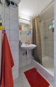 布达佩斯LEM Suburban Apartment的一间带水槽和淋浴的浴室