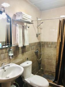 姆兹瓦内康茨基Holiday House Green Cape Batumi的浴室配有卫生间、盥洗盆和淋浴。