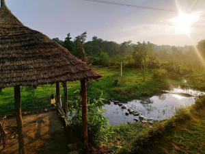 瑞诗凯诗Nature Care Village- Rajaji National Park的一个带小屋和小池塘的田野