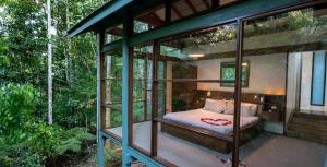 Crystal Creek水晶小溪雨林山林小屋的一间玻璃间,在树林里设有一张床