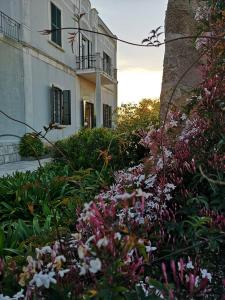 焦维纳佐B&B villa Maria的一座花园,在一座建筑前种有鲜花