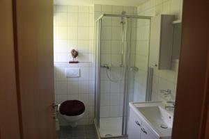 维克托尔斯博格Ferienwohnung mit Panoramablick的带淋浴、卫生间和盥洗盆的浴室