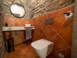 El Pueyo de Araguás卡萨度伊索旅馆的一间带卫生间、水槽和镜子的浴室
