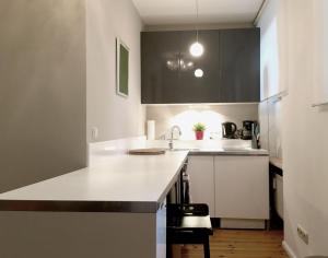 柏林风格公寓 - 雪恩霍泽街的厨房或小厨房