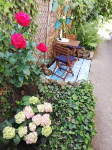 埃格尔明珠旅馆的长凳和桌子,还有一些粉红色的花