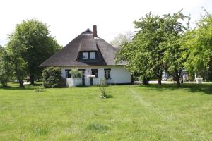 霍尔斯泰因地区奥尔登堡Landhotel Teichwiesenhof的田野上茅草屋顶的白色房子