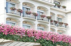斯特雷萨布里斯托大酒店的一座建筑的侧面是粉红色的花朵