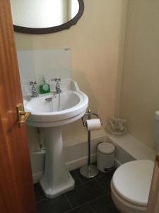 德拉姆纳德罗希特Bunillidh的浴室配有白色水槽和卫生间。