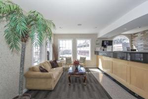 卡尔加里奇努克车站加拿大最佳价值汽车旅馆的带沙发和棕榈树的客厅