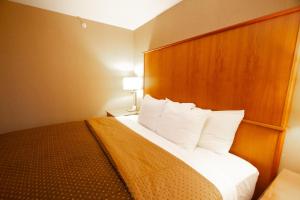 斯波坎谷米拉博公园酒店的配有白色枕头的床的酒店客房