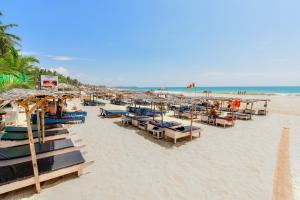 希克杜沃国际海滩餐厅酒店 的海滩上设有椅子和遮阳伞,还有大海