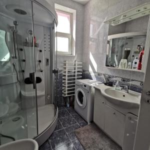圣马丁Vila Angela Felix的带淋浴水槽和洗衣机的浴室