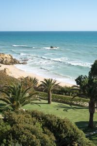 阿尔布费拉维拉霍亚酒店的享有棕榈树海滩和大海的景色