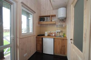 斯维季亚济Ostrivky的一间带水槽和冰箱的小厨房