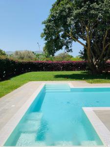 蒙德罗Il Giardino di Venere的一座种植了树木和鲜花的蓝色游泳池