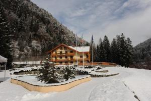 冬天的Holidays Dolomiti Apartment Resort