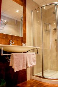 奥伦塞马布酒店的带淋浴和盥洗盆的浴室