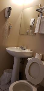 尼亚加拉瀑布Niagara Inn的一间带水槽、卫生间和镜子的浴室