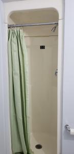 尼亚加拉瀑布Niagara Inn的浴室内设有带绿色淋浴帘的淋浴