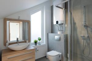 查科韦茨Millennium apartments的一间带水槽、卫生间和淋浴的浴室