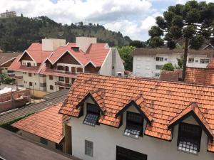 坎波斯杜若尔当Apartamento no Centro de Campos do Jordao的享有红色屋顶建筑的顶部景色