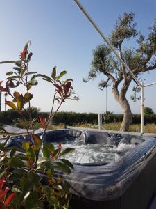 焦维纳佐Bed & Breakfast del Faro的后方的热水浴池,有树