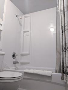弗雷德里克顿天际线汽车旅馆 的白色的浴室设有卫生间和淋浴。