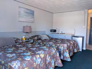 弗雷德里克顿天际线汽车旅馆 的酒店客房配有两张床和微波炉。