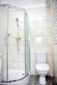 伊万诺-弗兰科夫斯克Apart Reserve Sloboda Loft的带淋浴和卫生间的浴室
