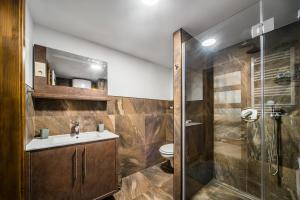 布达佩斯Old Drum Residence的带淋浴、盥洗盆和卫生间的浴室