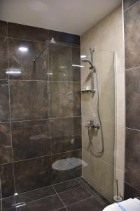斯特鲁加Hotel Makpetrol Struga的浴室里设有玻璃门淋浴
