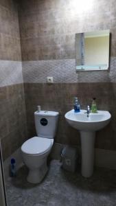 卡兹贝吉白房子旅馆的一间带卫生间和水槽的浴室
