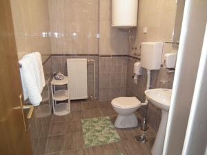 诺维萨德娜莎提维达瓦宾馆的一间带卫生间和水槽的浴室