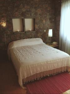 SfendoúrionHoliday Home in Sfendouri, Aegina的一间卧室设有一张床和石墙