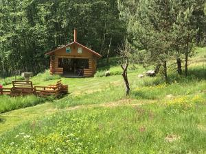 克拉斯拉瓦Nature Retreat "Upes Dižvietas"的田野中间的小木屋