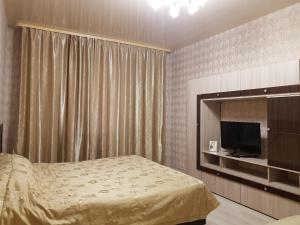 苏尔古特Улучшенные апартаменты на Ауре的一间卧室配有一张床和一台平面电视