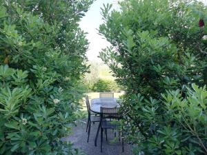 莫尼加Casale el galet的两棵树之间的花园中摆放着桌椅