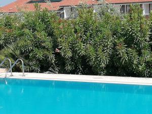莫尼加Casale el galet的青色的游泳池,在灌木丛前