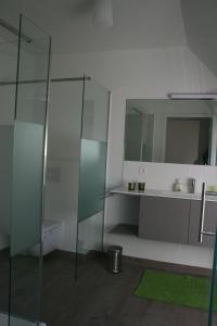 Hofstade阿库兰德住宿加早餐旅馆的一间带玻璃淋浴和水槽的浴室